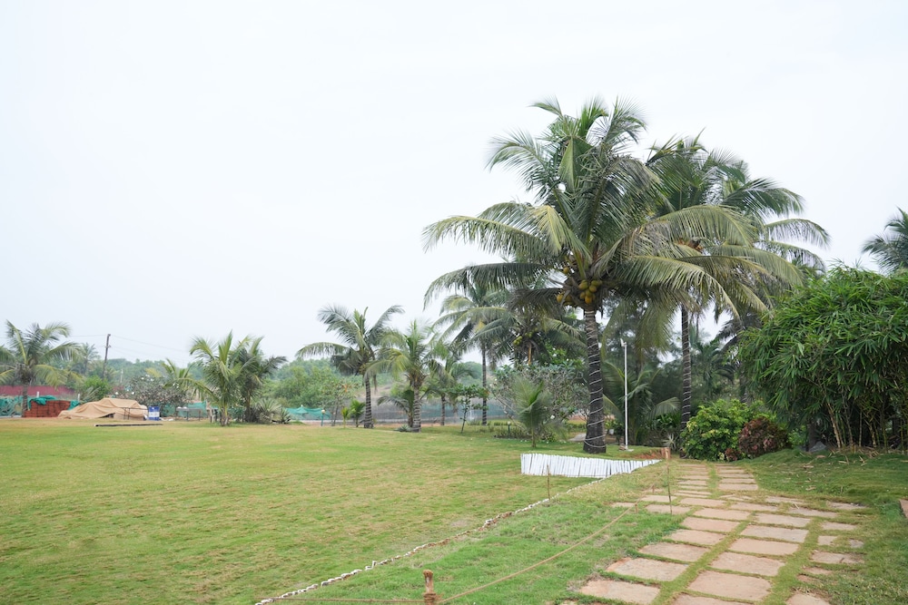 The Beach House Goa 40/50