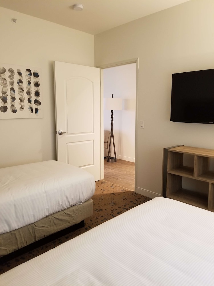 The Cassara Carlsbad Tapestry Collection By Hilton 22/63