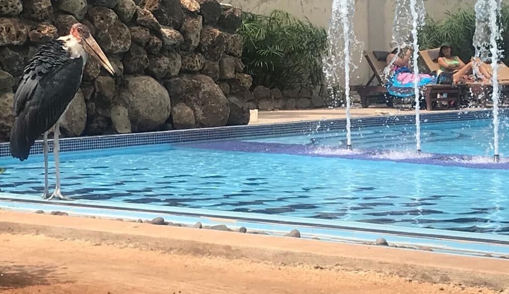 Ameg Lodge Kilimanjaro 19/36