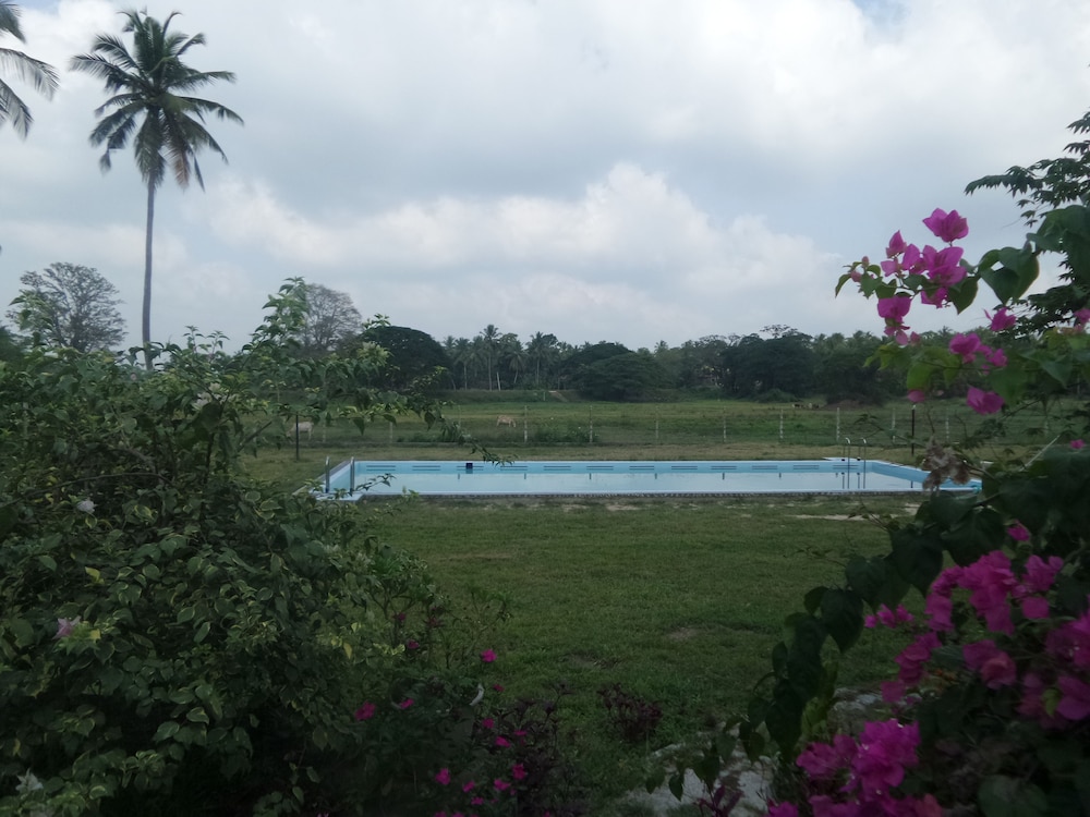 Cocoworld Bungalow 20/50