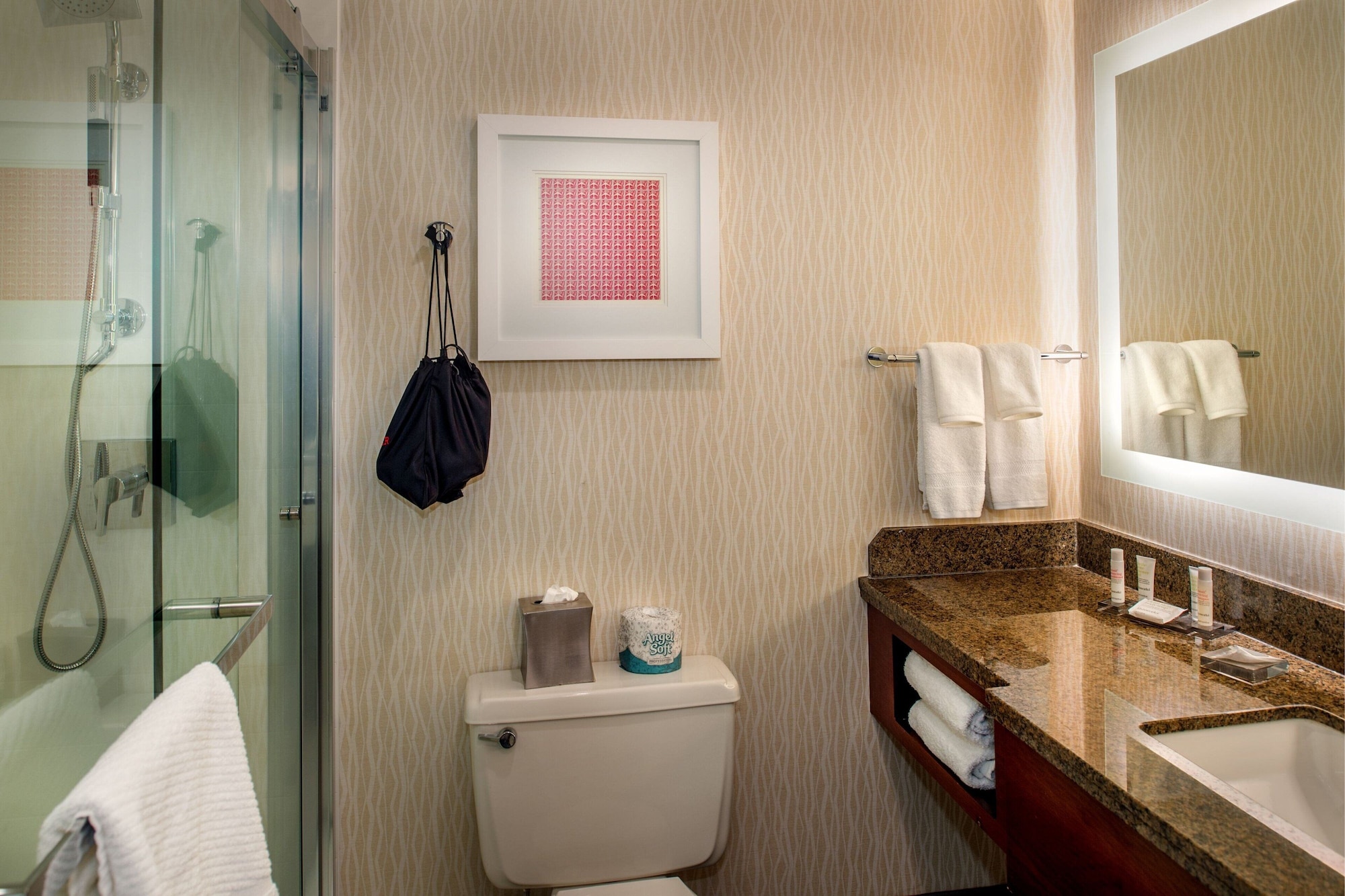Tower, King Bed، Marriott St. Louis Airport 4/4