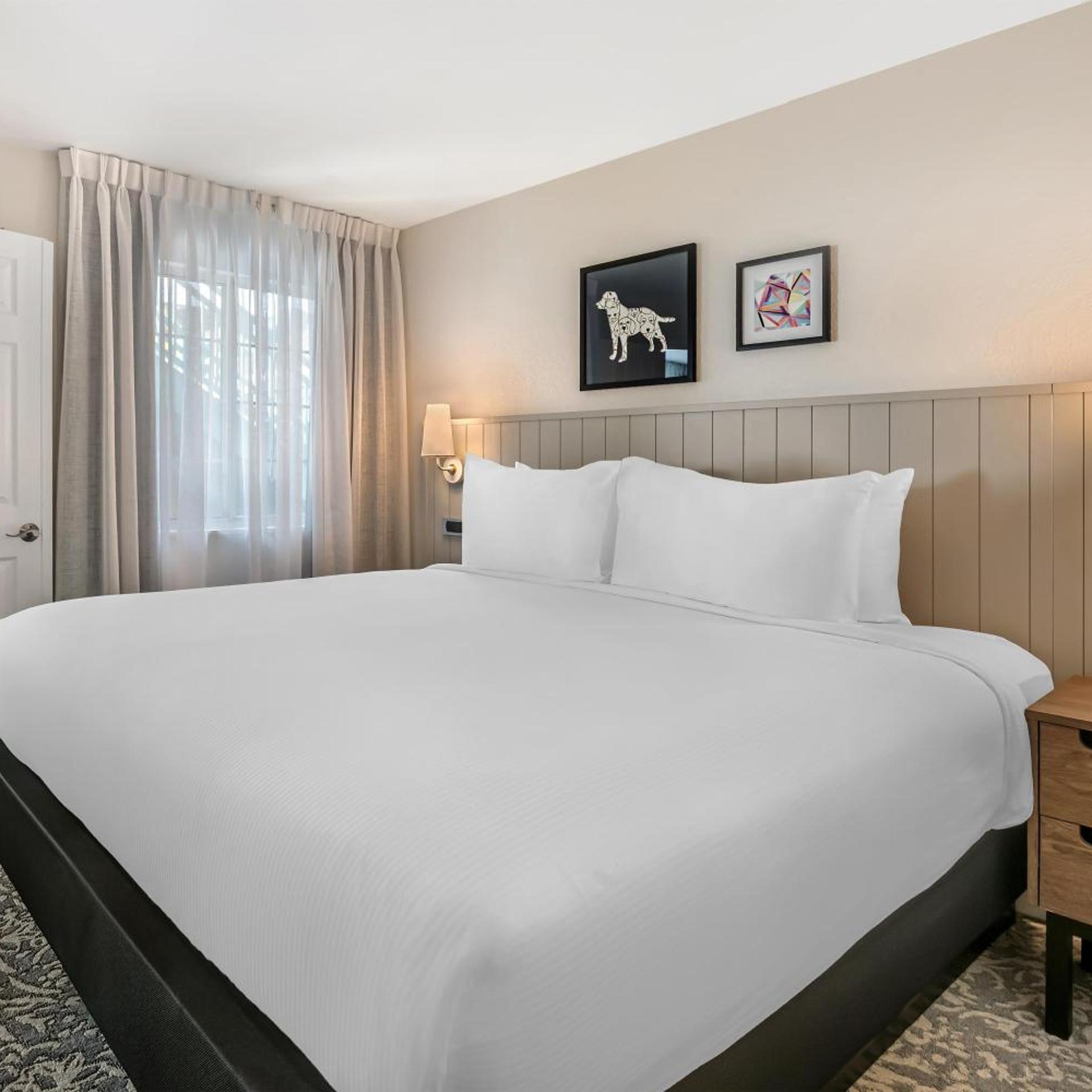1 Bedroom, Suite, Pool Area