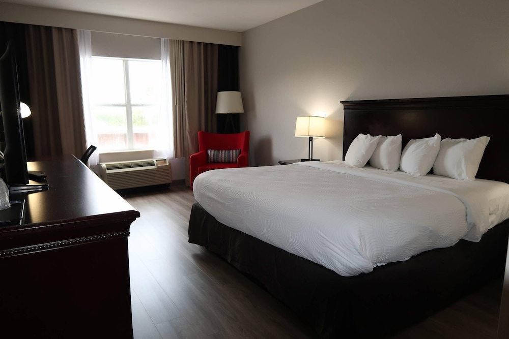 ROOM, KING BED