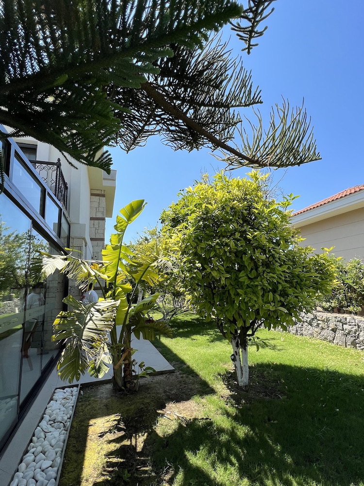 Dalyan Risus Suite 19/25