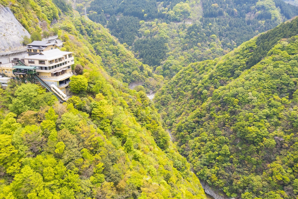 Nano Yado Hotel Iya Onsen 44/50