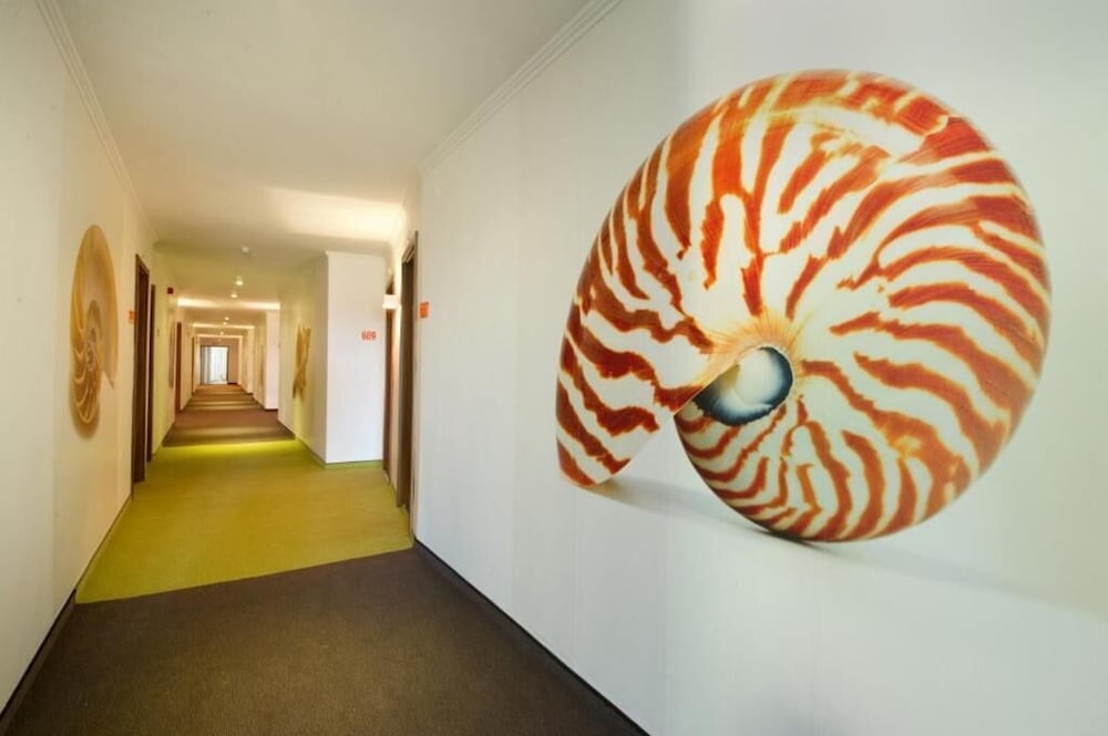 Hotel Excelsior 20/63