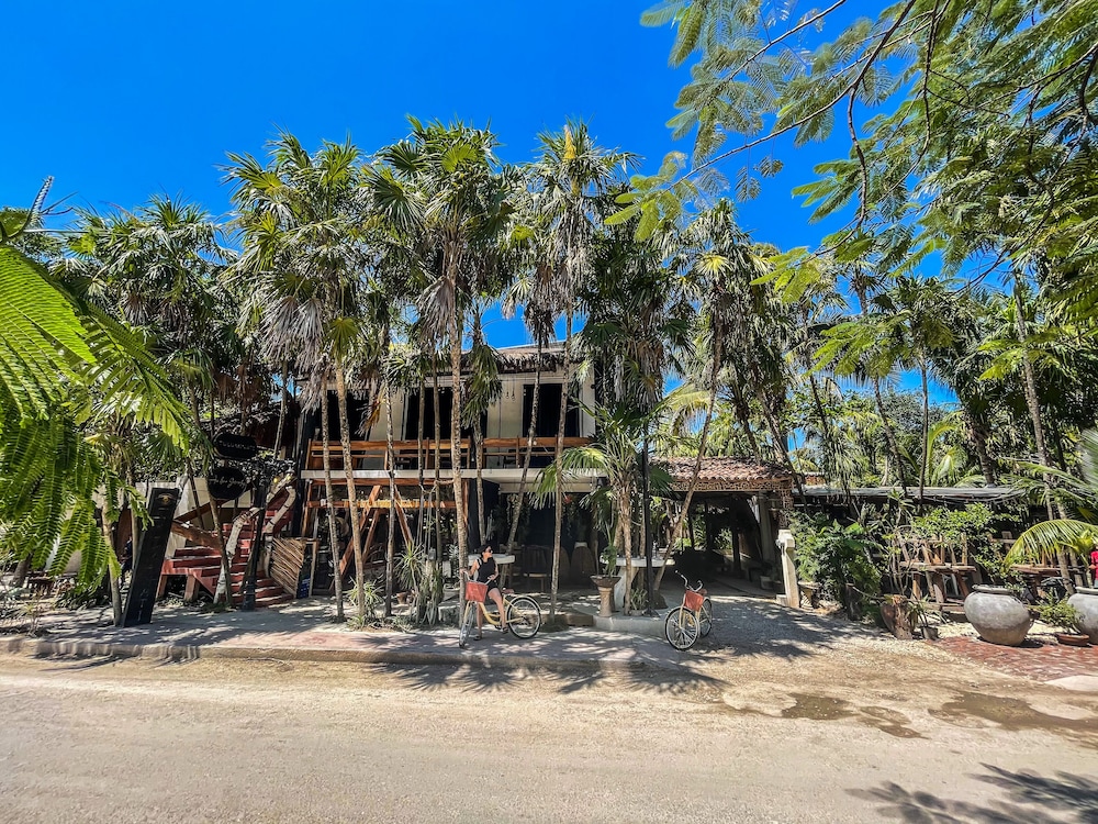 Casa Ambar 39/50