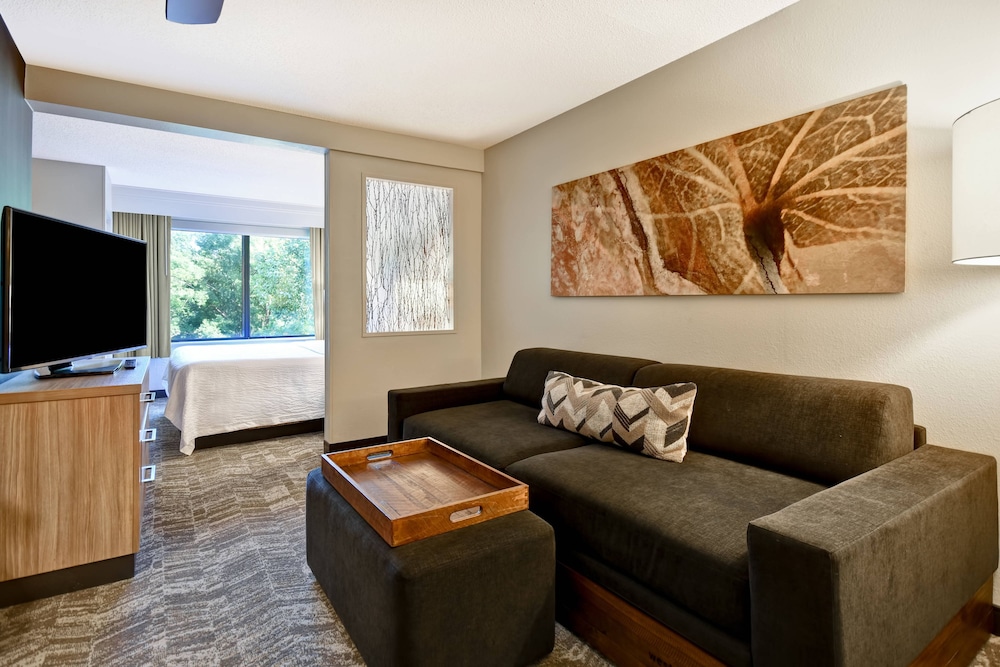 Springhill Suites Atlanta Kennesaw 27/38