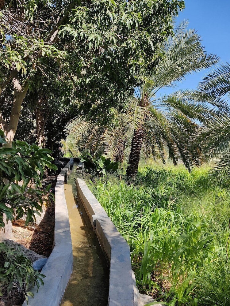 The View Oman 34/54
