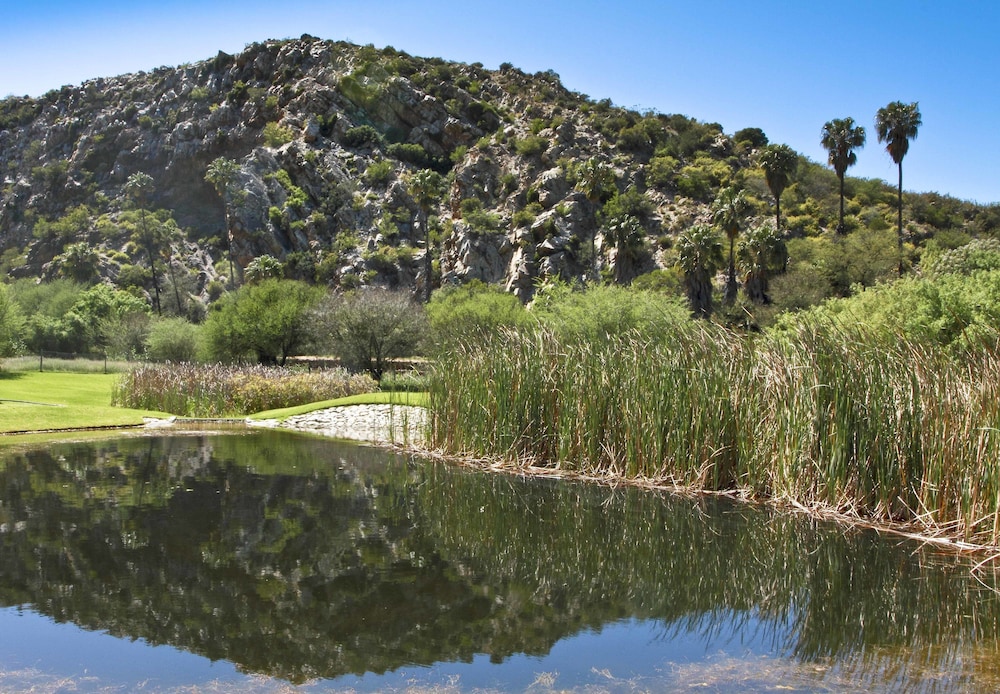 Montagu Vines Guest House 26/50