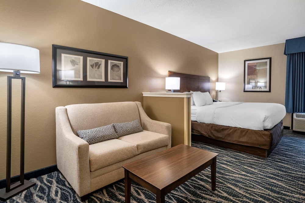 Comfort Inn Suites Newark Wilmington 38/65