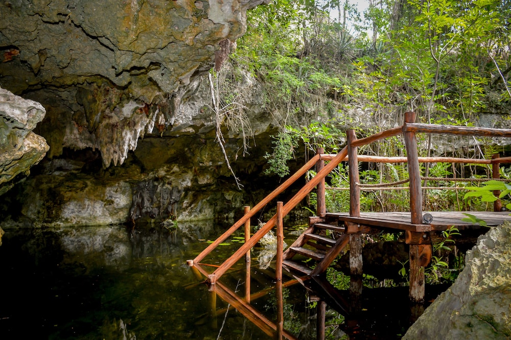Akumal Natura Glamping 23/50