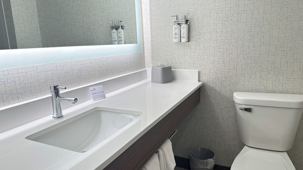 Holiday Inn Express & Suites Prospect Heights 48/50