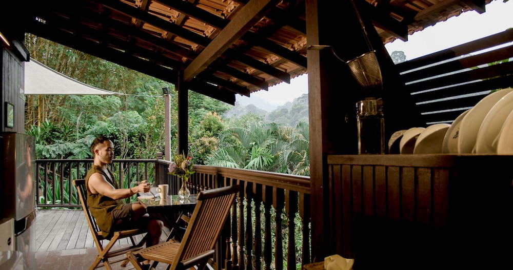 The Dusun 33/50