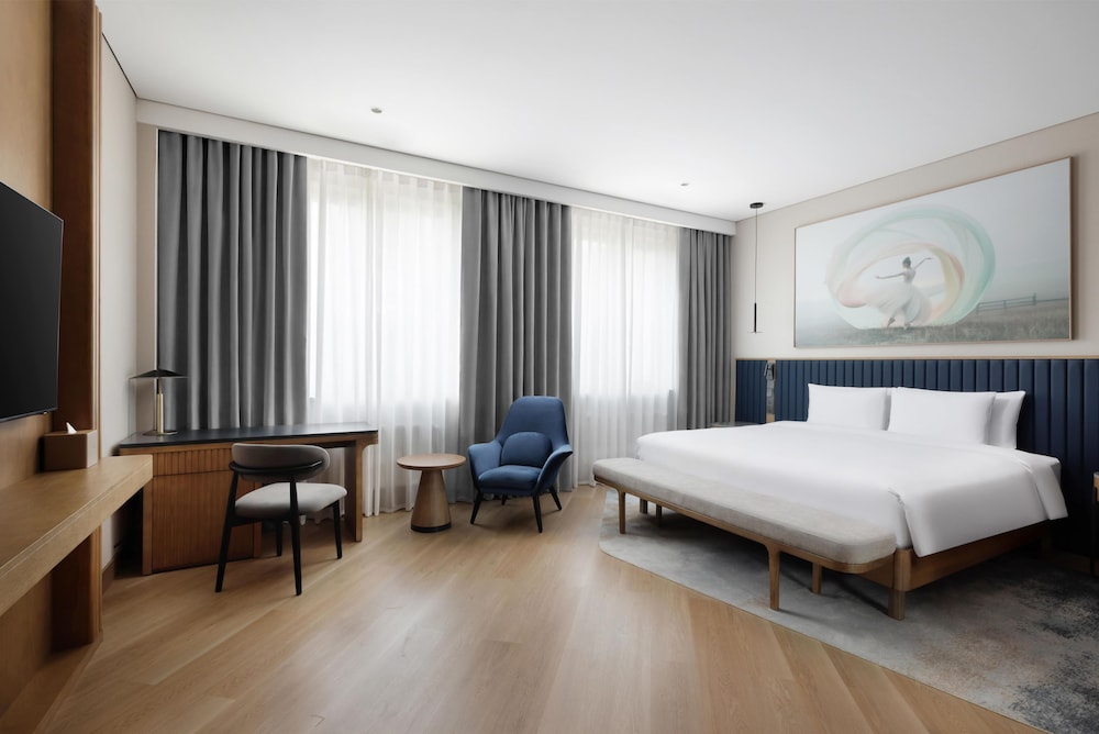 Radisson Blu Hotel, Almaty Airport 33/120
