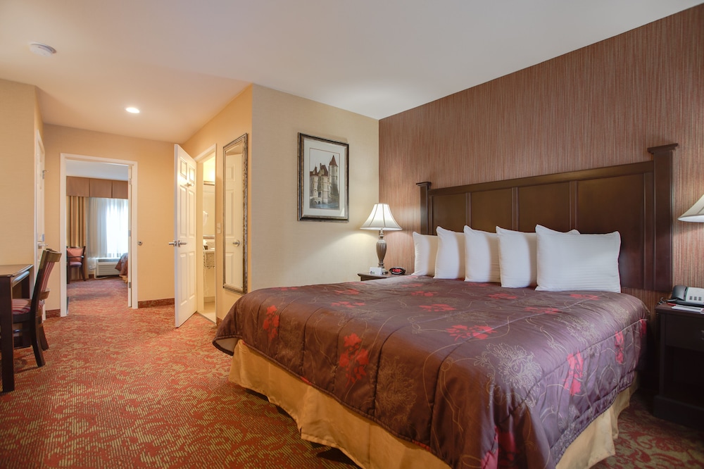 Castle Inn And Suites 9/38