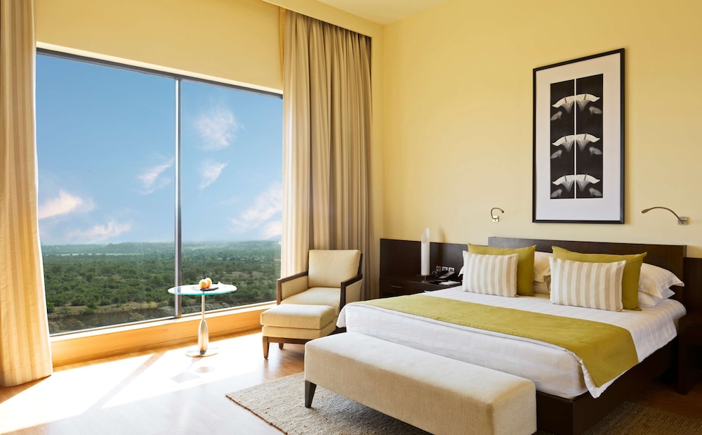 HYATT HYDERABAD GACHIBOWLI 20/71