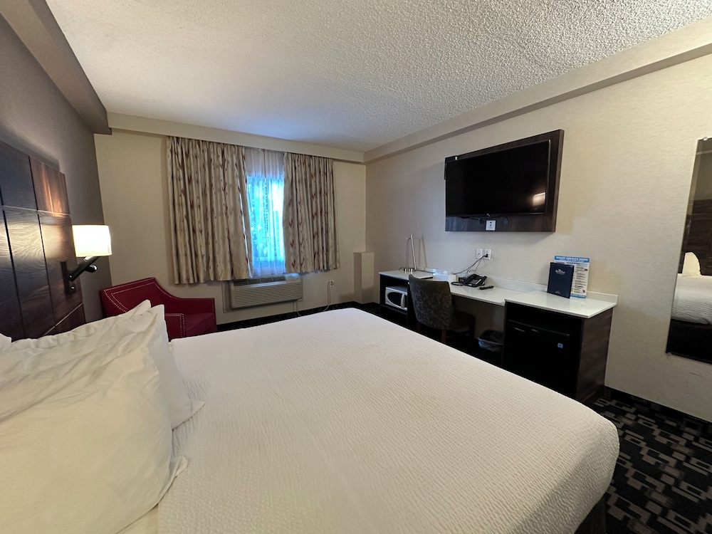 Room, Queen Bed