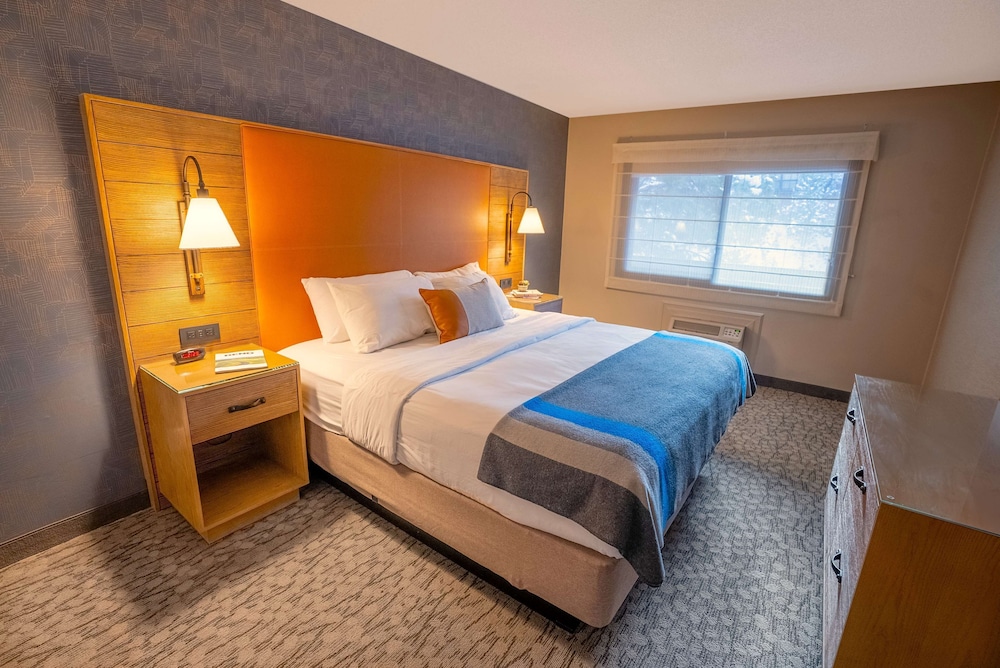 1 BEDROOM, SUITE, SOFA