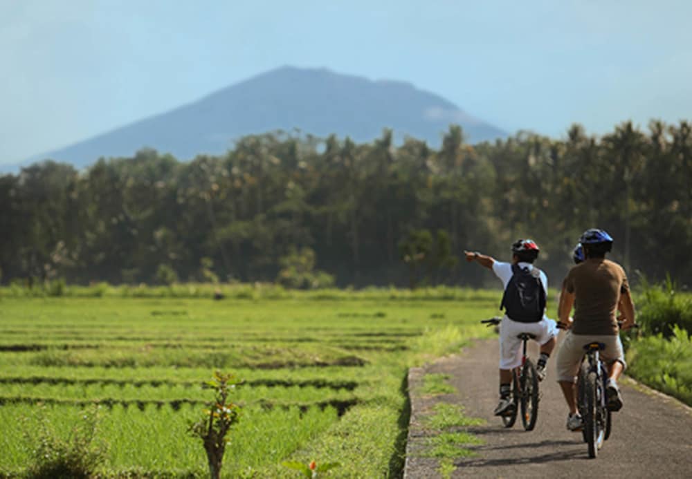 Furamaxclusive Resort Villas Ubud 38/50