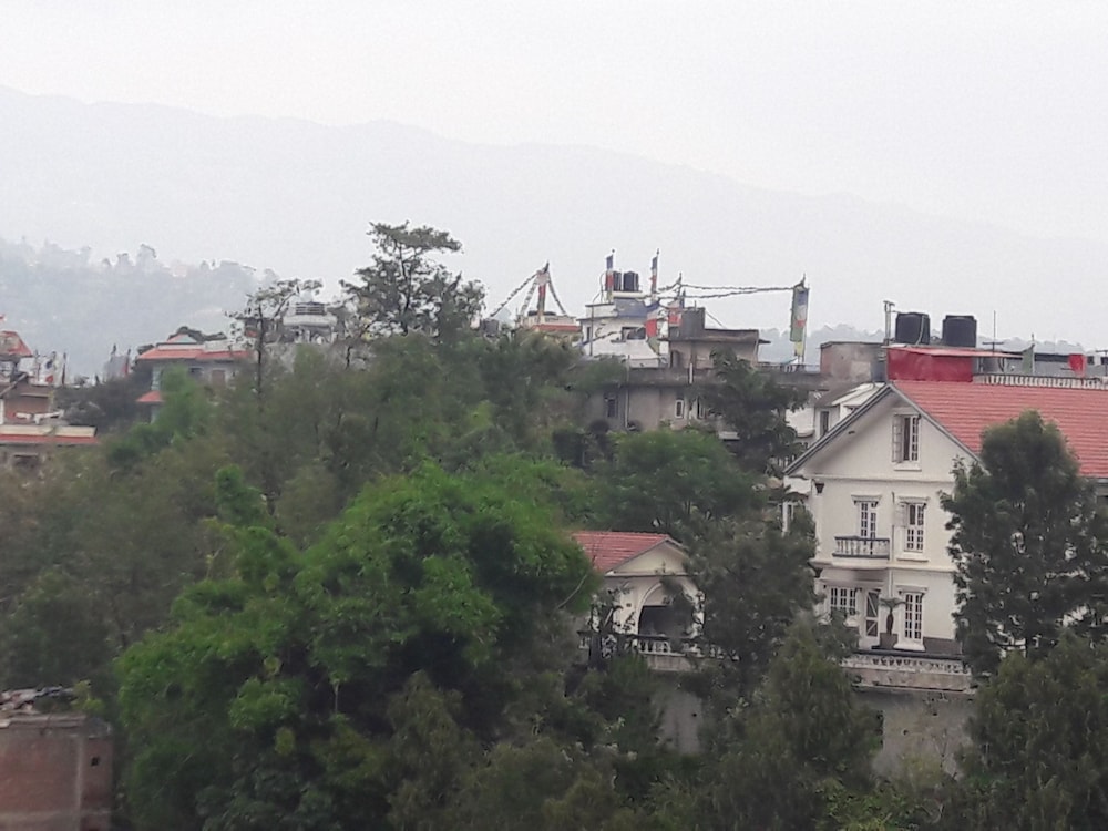 The Boudha Inn 44/49