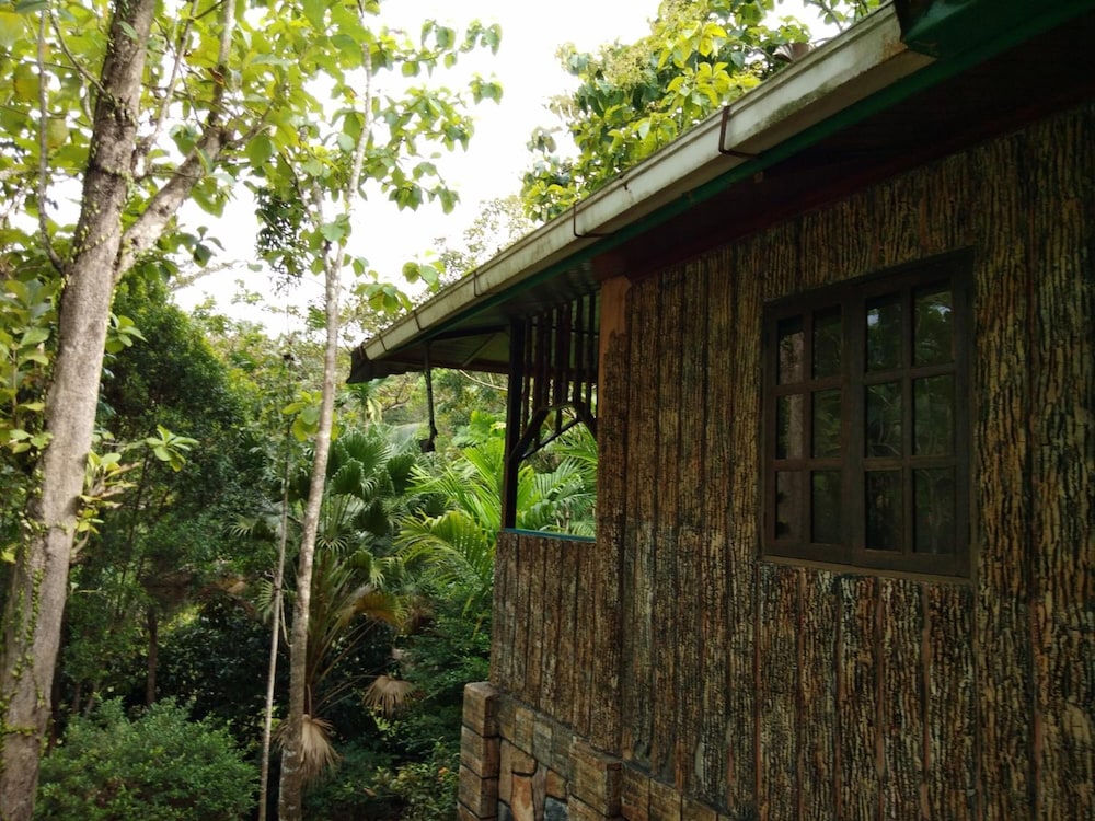 Sepilok Jungle Resort 9/62