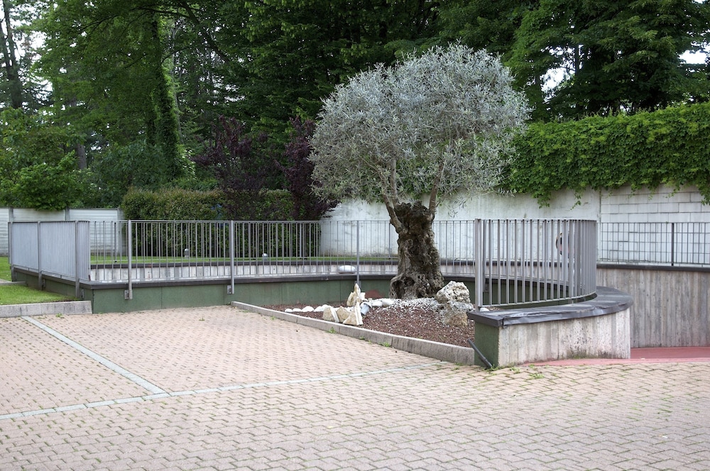 surroundings