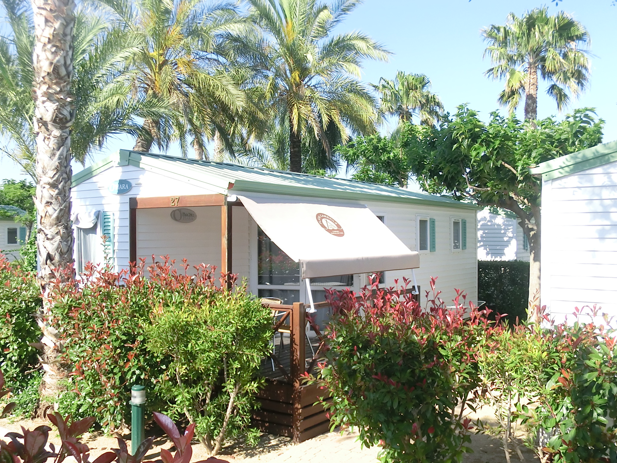 CAMPING PLATJA CAMBRILS 2/50