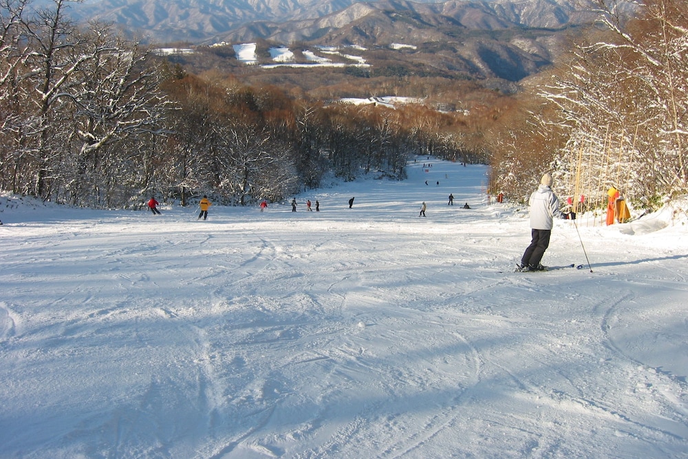 Shiobara Onsen Yashio Lodge 38/42