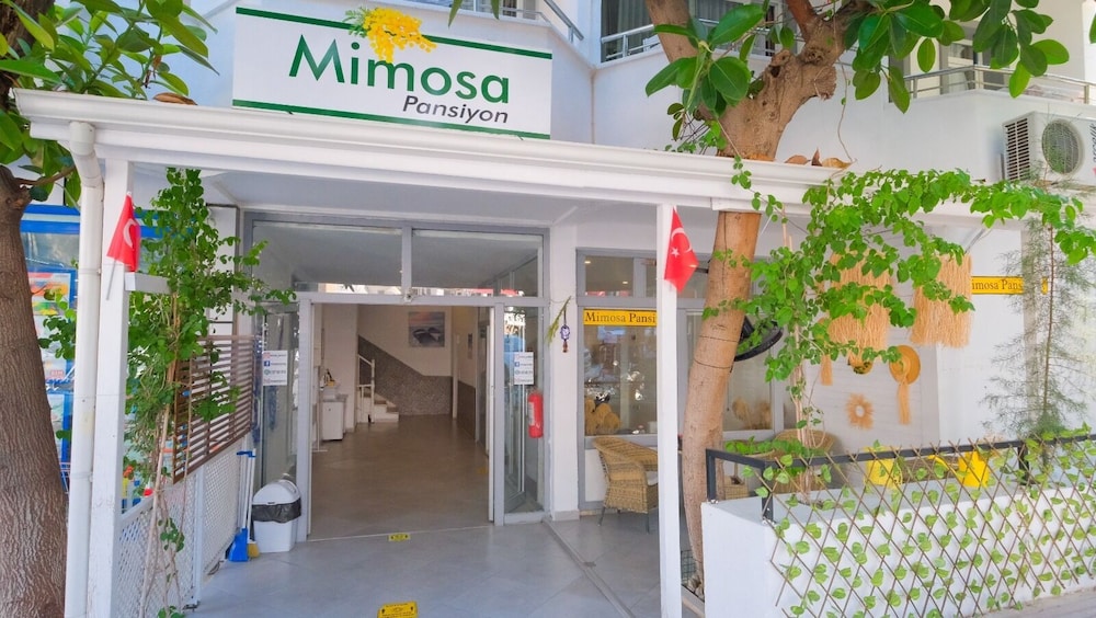 Mimosa Pension 34/45