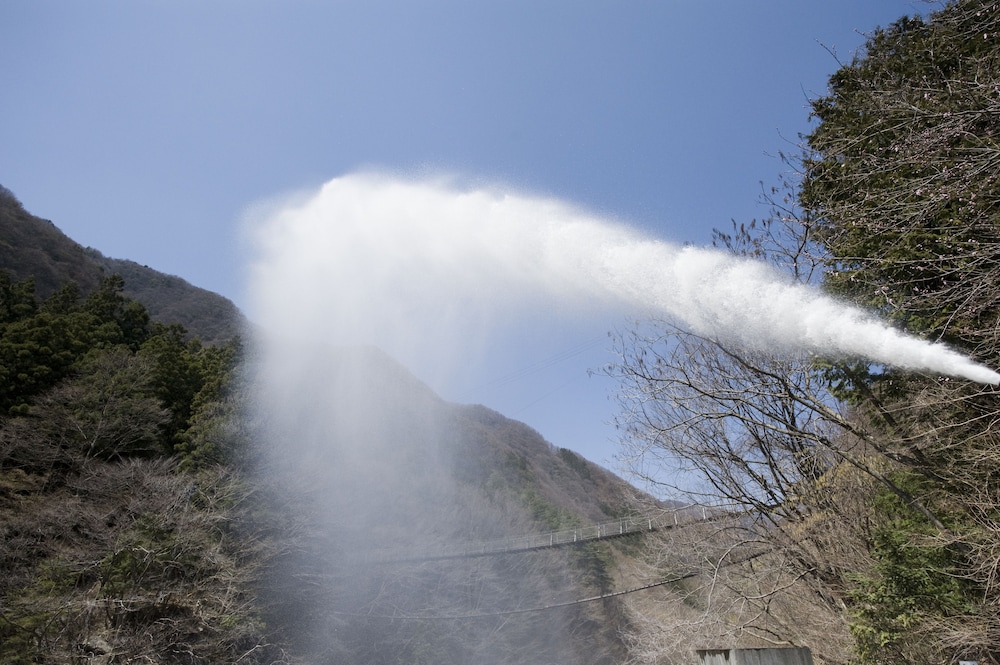 Nishiyama Onsen Keiunkan 38/40