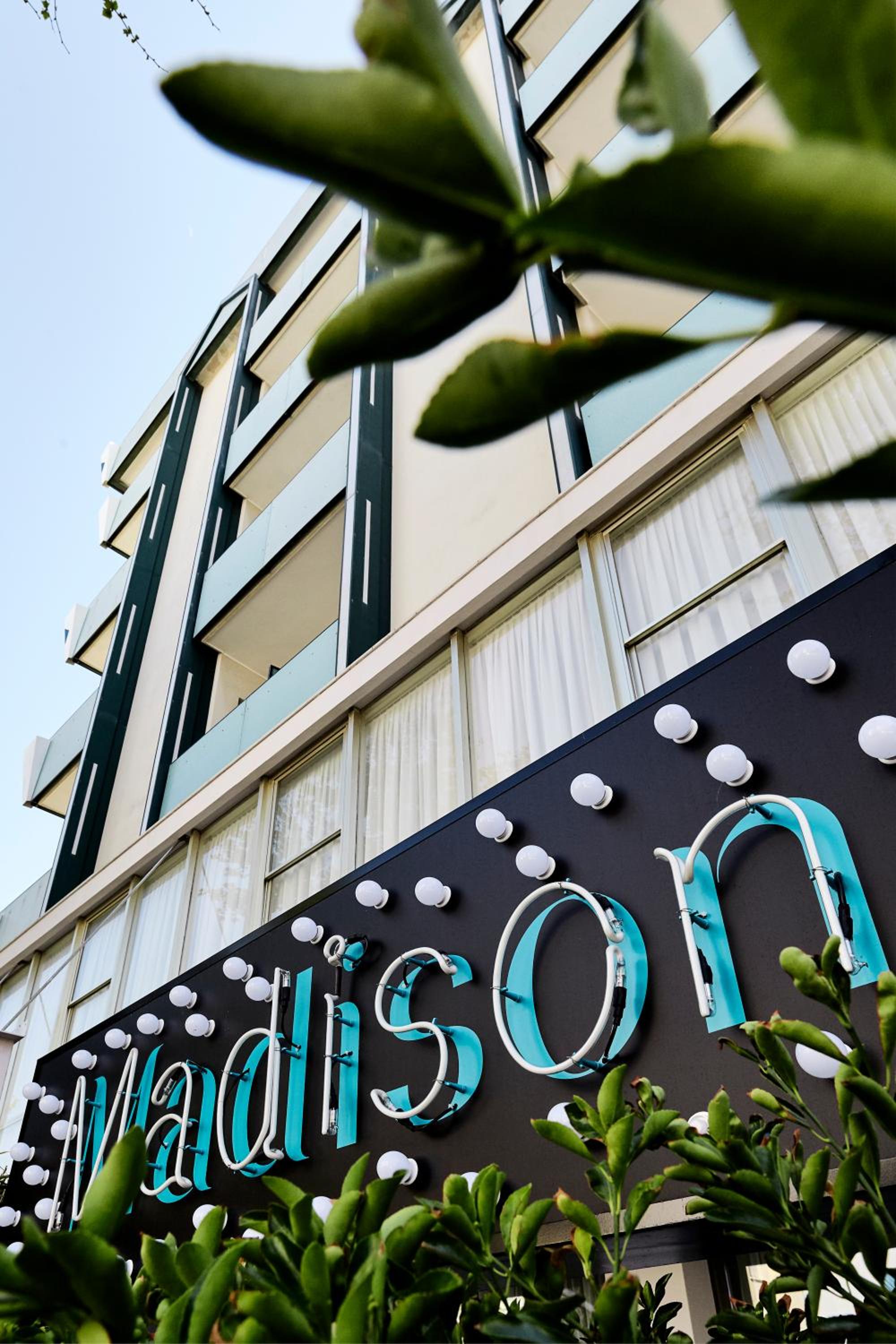 Hotel Madison 1/49
