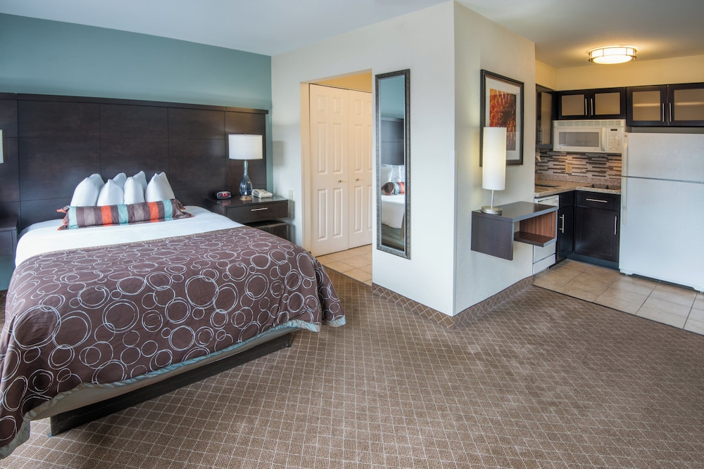 Studio, Suite, Queen Bed, Kitchen