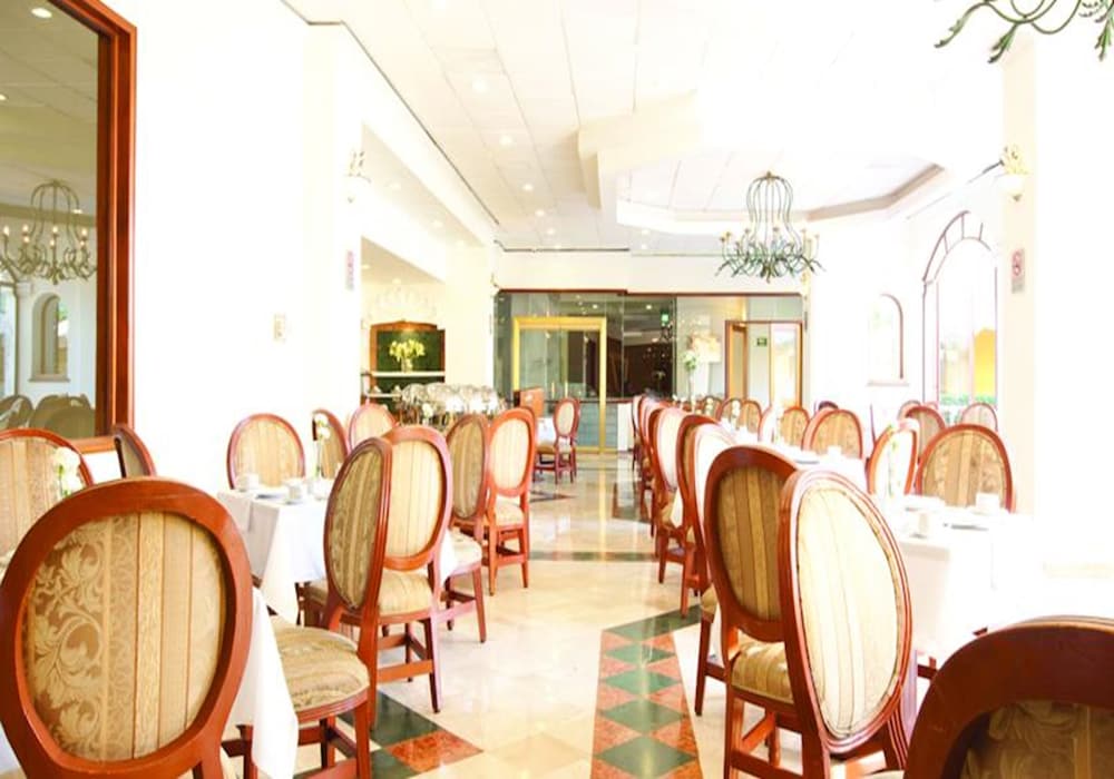 Hotel Mision Guadalajara 49/64