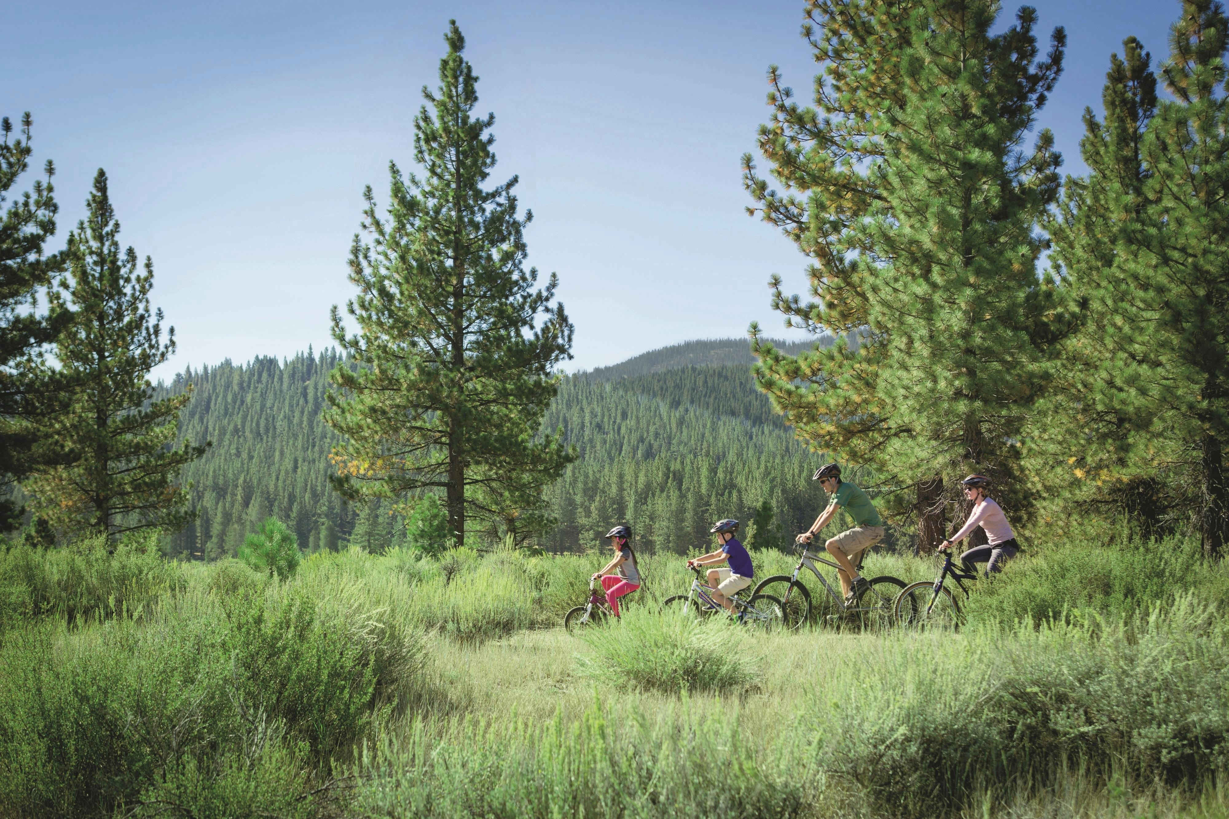The Ritz Carlton Lake Tahoe 55/58