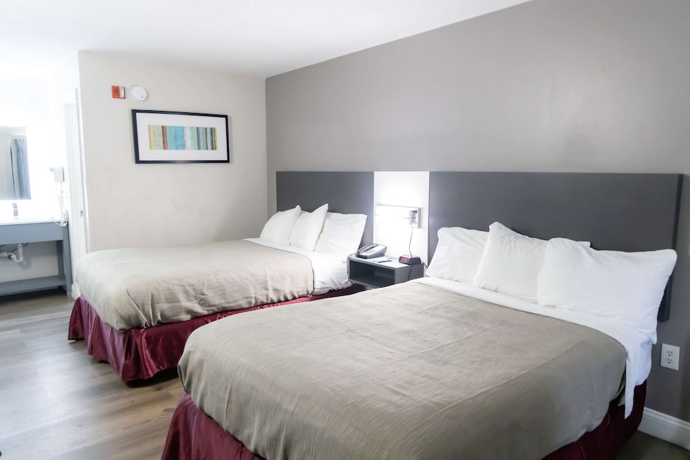 Standard, 2 Double Beds