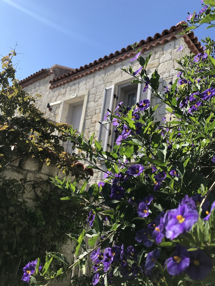 Alacati Cona Butik Otel 5/50