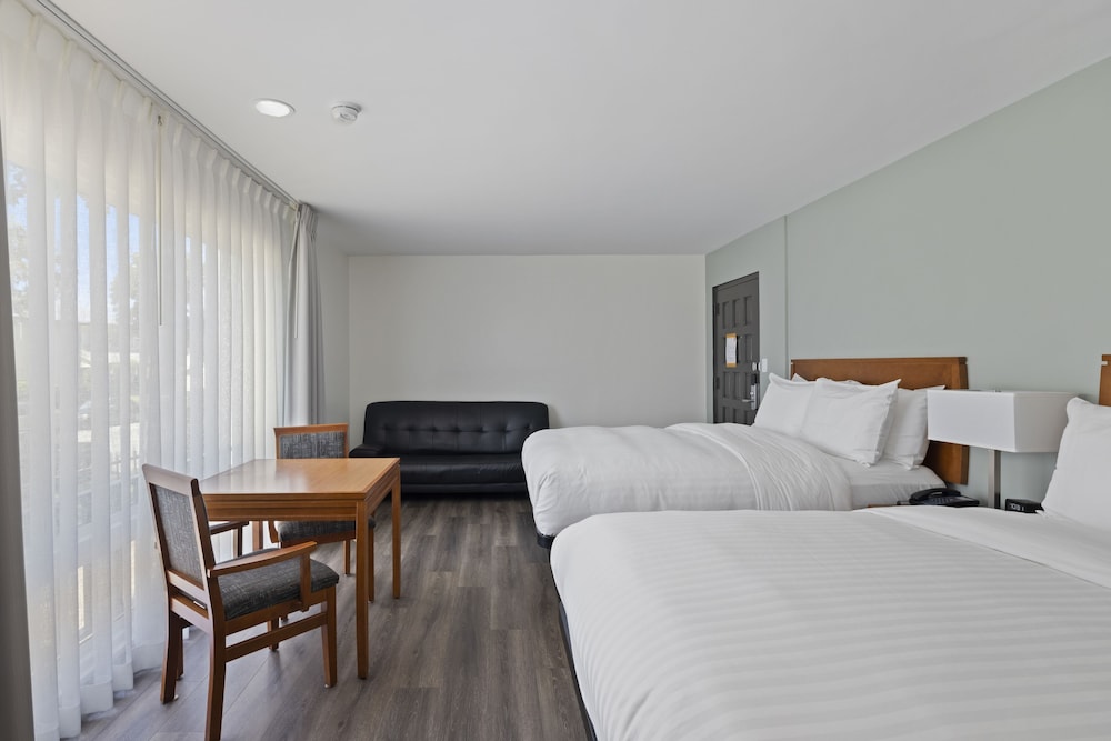 STUDIO, SUITE, 2 QUEEN BEDS