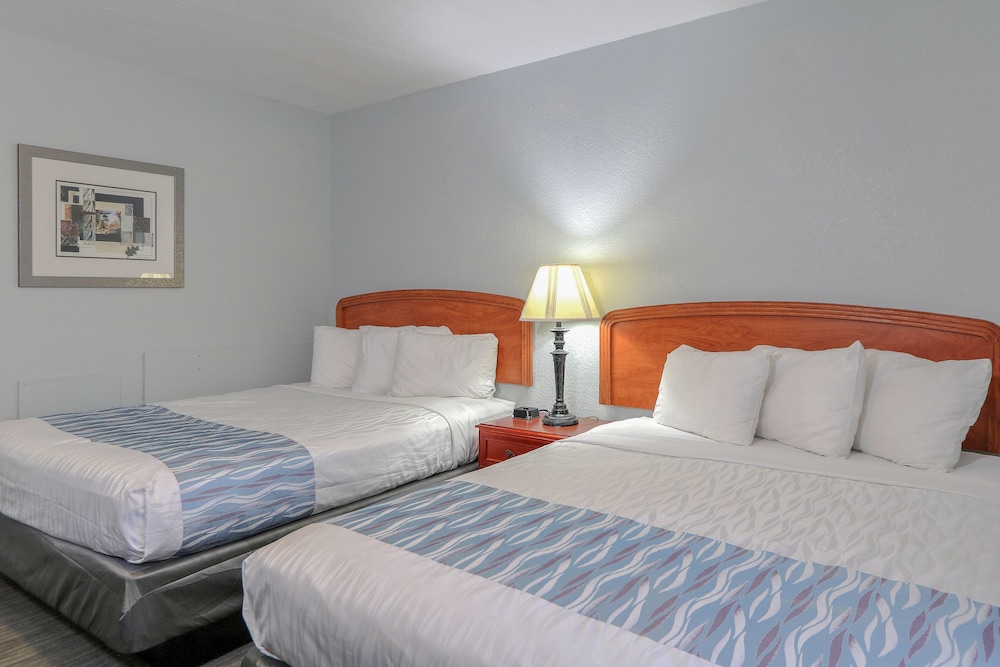 room, 2 queen beds