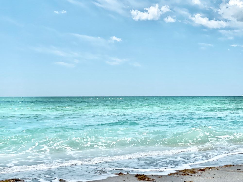 Manasota Key Resort 44/50