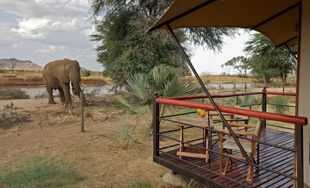 Ashnil Samburu Camp 14/50