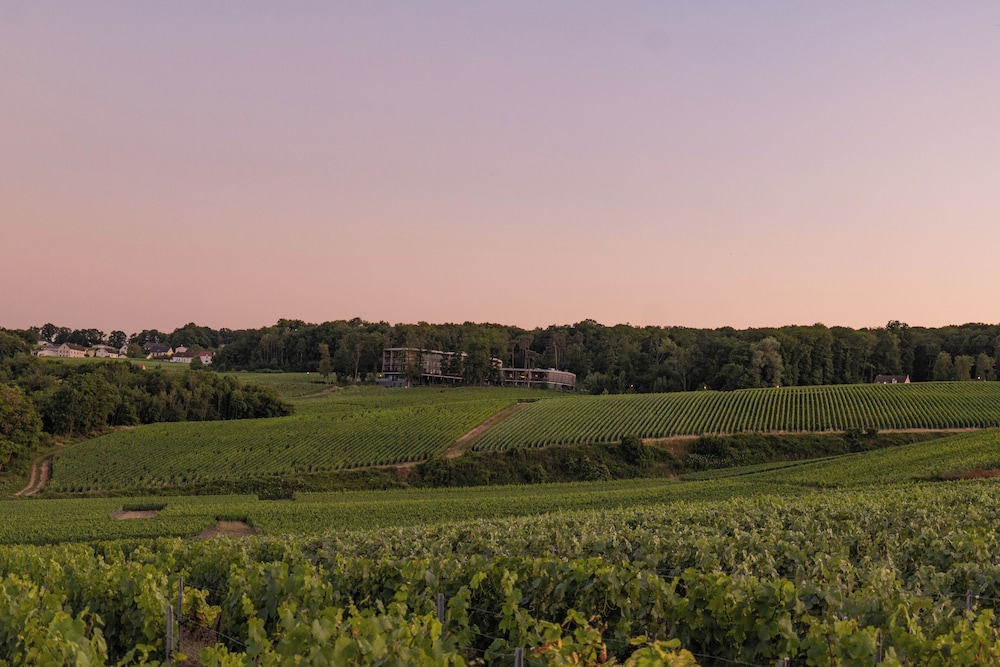 LOISIUM Wine & Spa Hotel Champagne 74/81