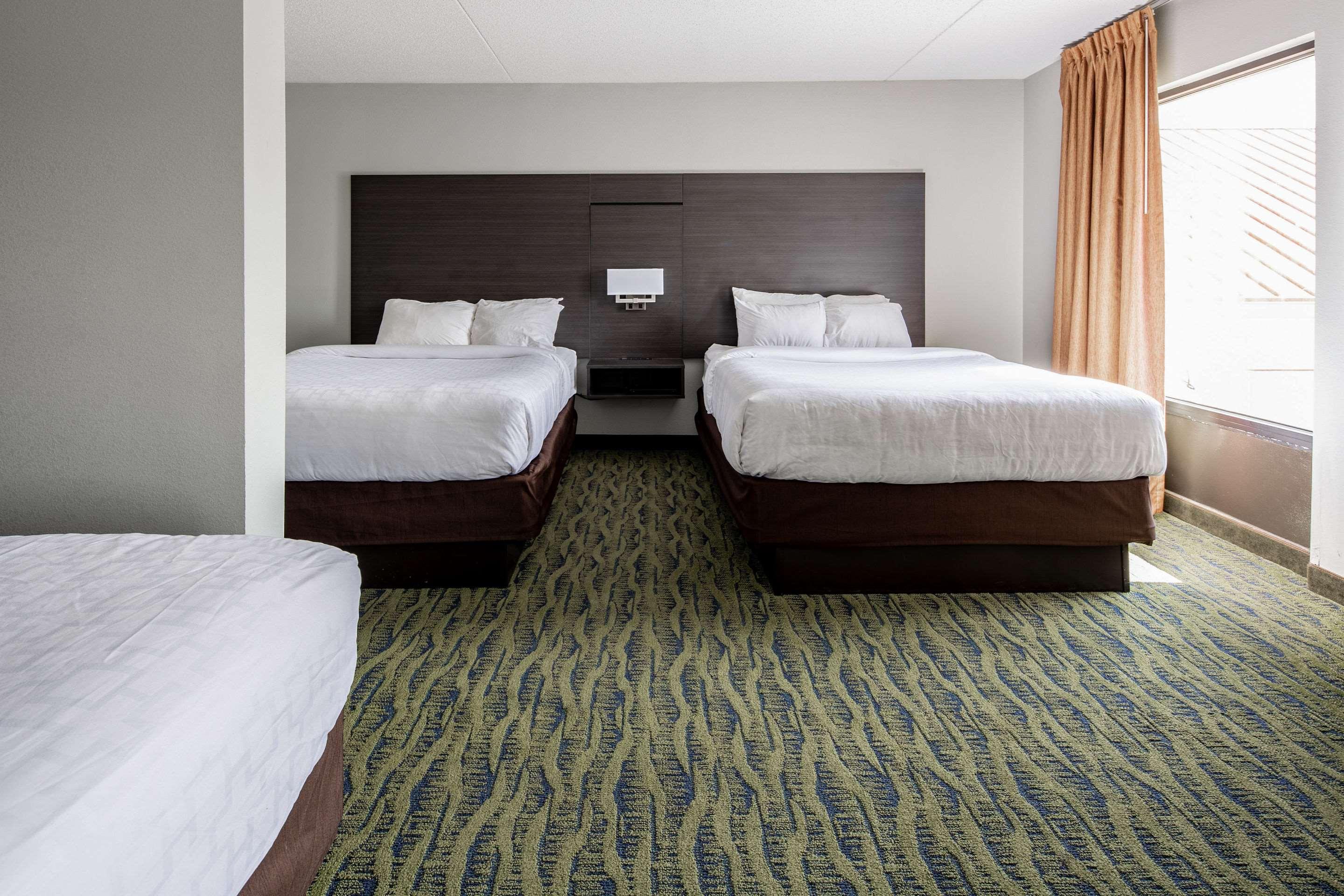 ROOM, 1 KING AND 2 QUEEN BEDS