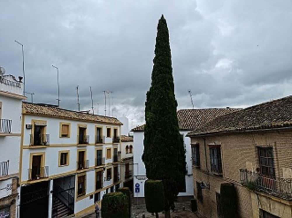Plateros Hotel 40/50