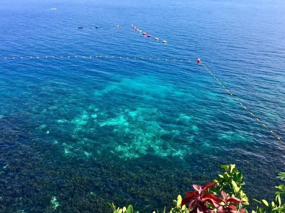Almira Diving Resort 39/50