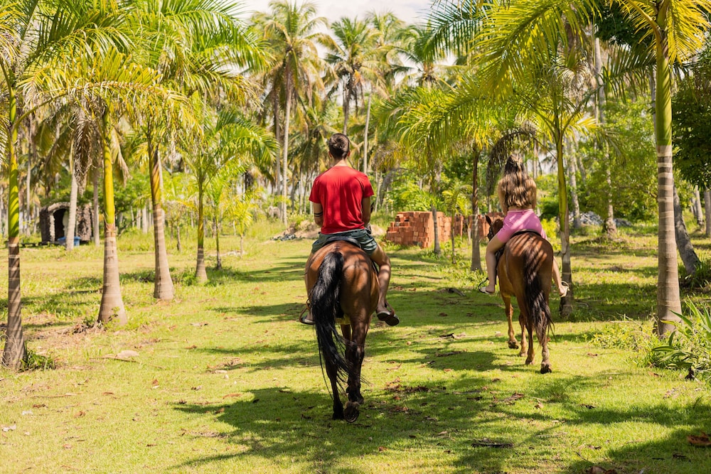 Pousada Paraiso dos Coqueirais 36/50