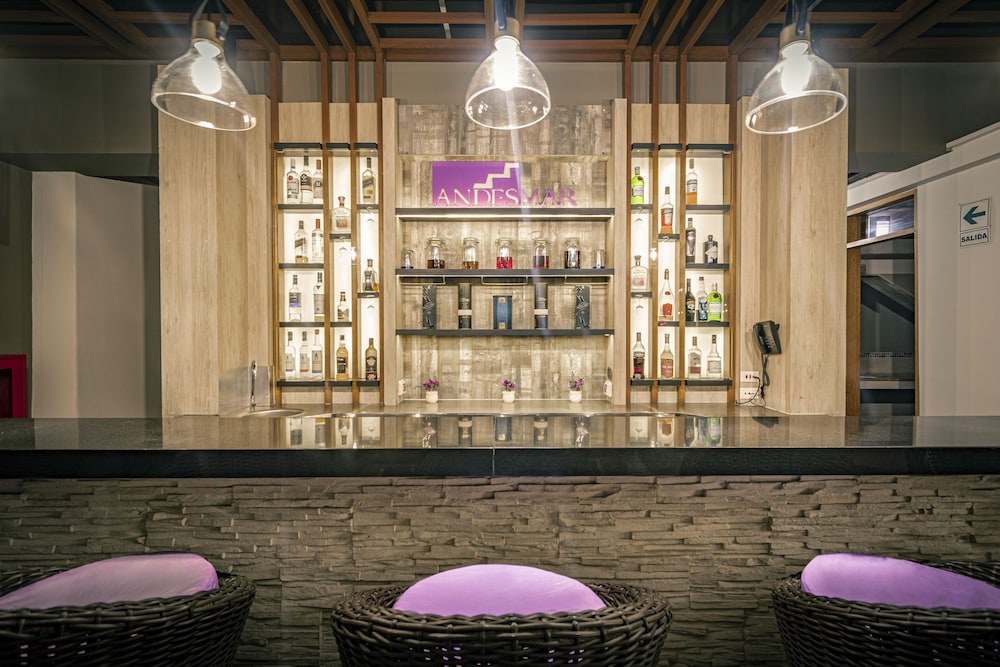 Andesmar Hotel & Suites 55/67