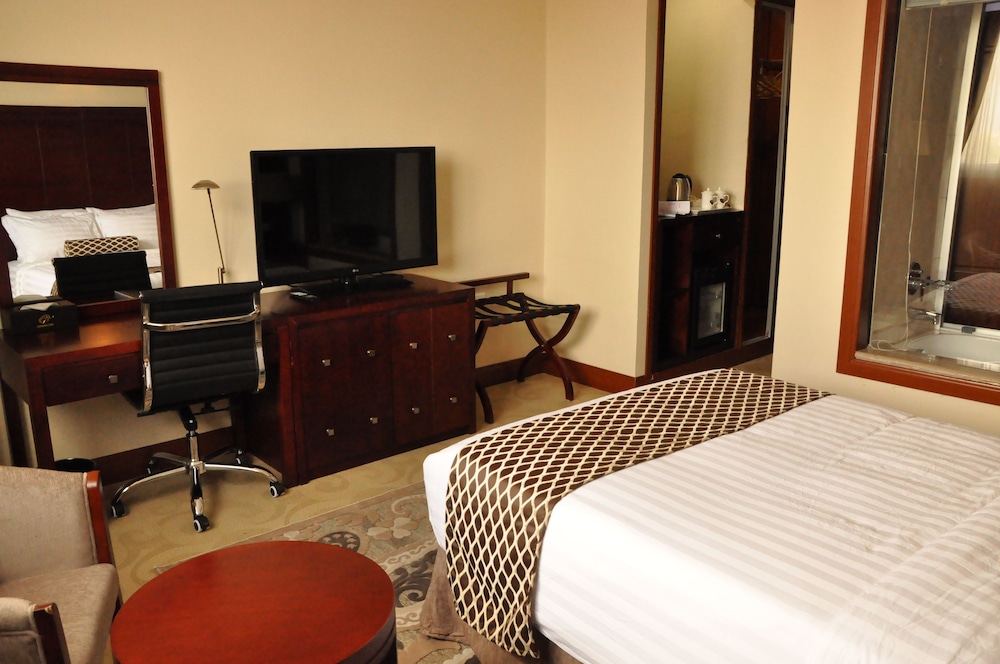 Addissinia Hotel 20/51