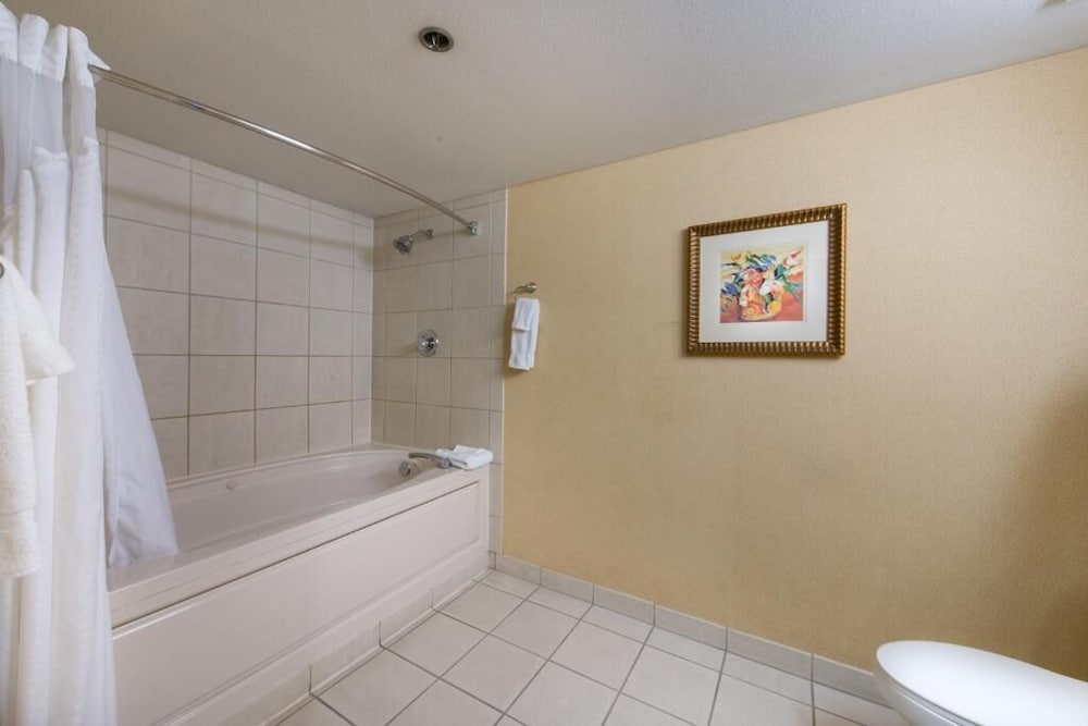 GreenTree Hotel Phoenix West 11/41