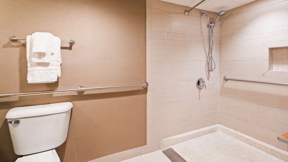 Best Western Premier The Central Hotel & Conference Center 16/48